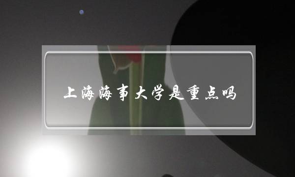 上海海事大学是重点吗(上海海事大学是啥档次)