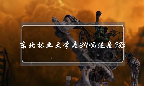 东北林业大学是211吗还是985(东北林业大学在哪)